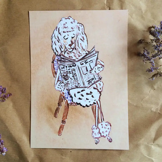 KORT - Puddel som leser avisen