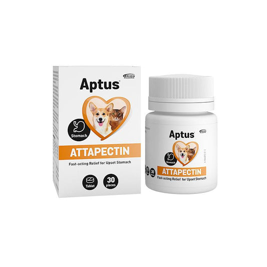 APTUS Attapectin Tabletter 30 STK