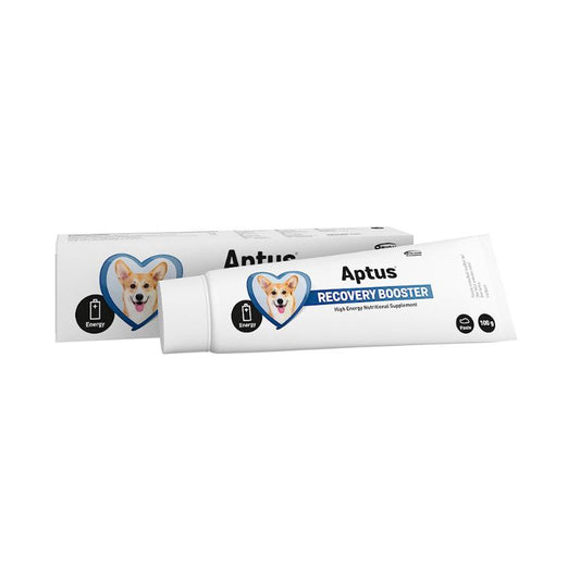 APTUS Reconvalescent Dog 100G