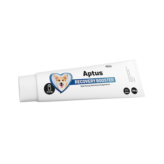 APTUS Reconvalescent Dog 100G